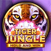 Hướng dẫn đăng ký b52play app và nhận khuyến mãi