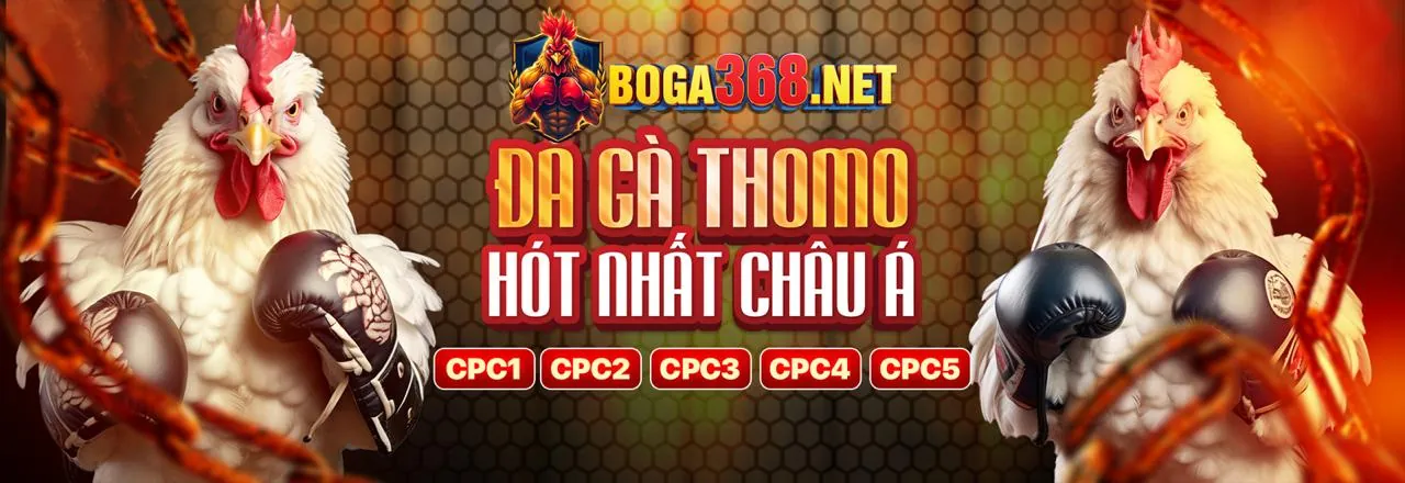 Sân vận động bóng đá với đèn sáng, thể hiện sự sôi động của các giải đấu thể thao trên b52play app