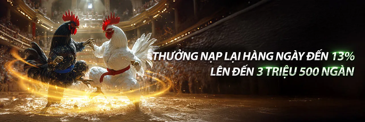 Đá Gà Trực Tuyến b52play app